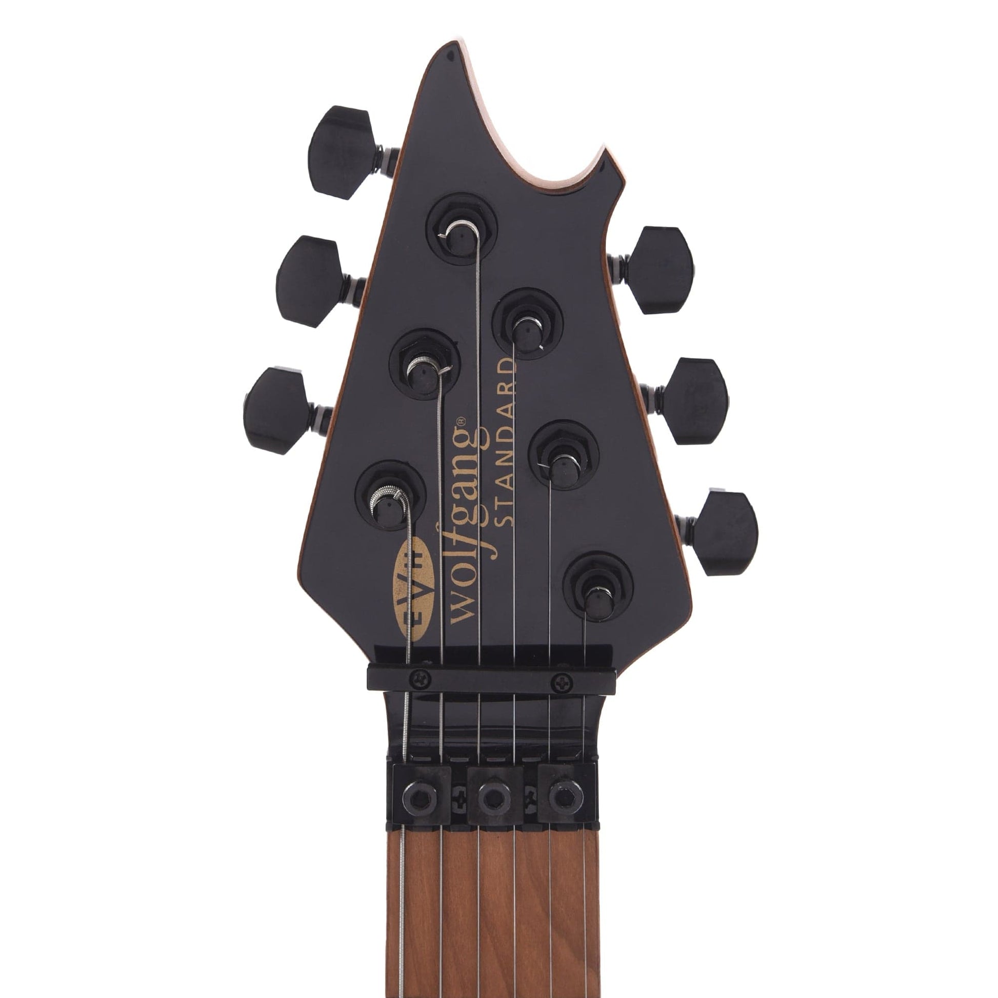 EVH Wolfgang WG Standard Absinthe Frost Electric Guitars / Solid Body
