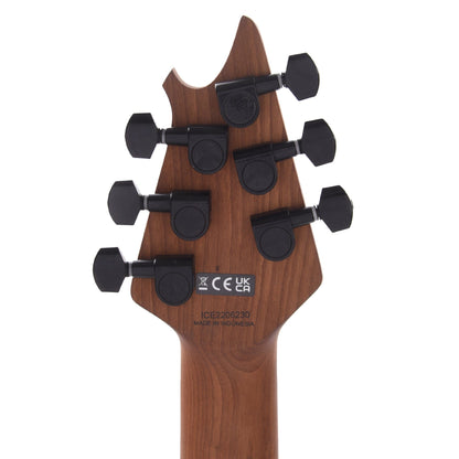 EVH Wolfgang WG Standard Absinthe Frost Electric Guitars / Solid Body