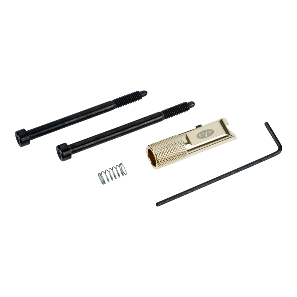 EVH D-Tuna Gold Parts