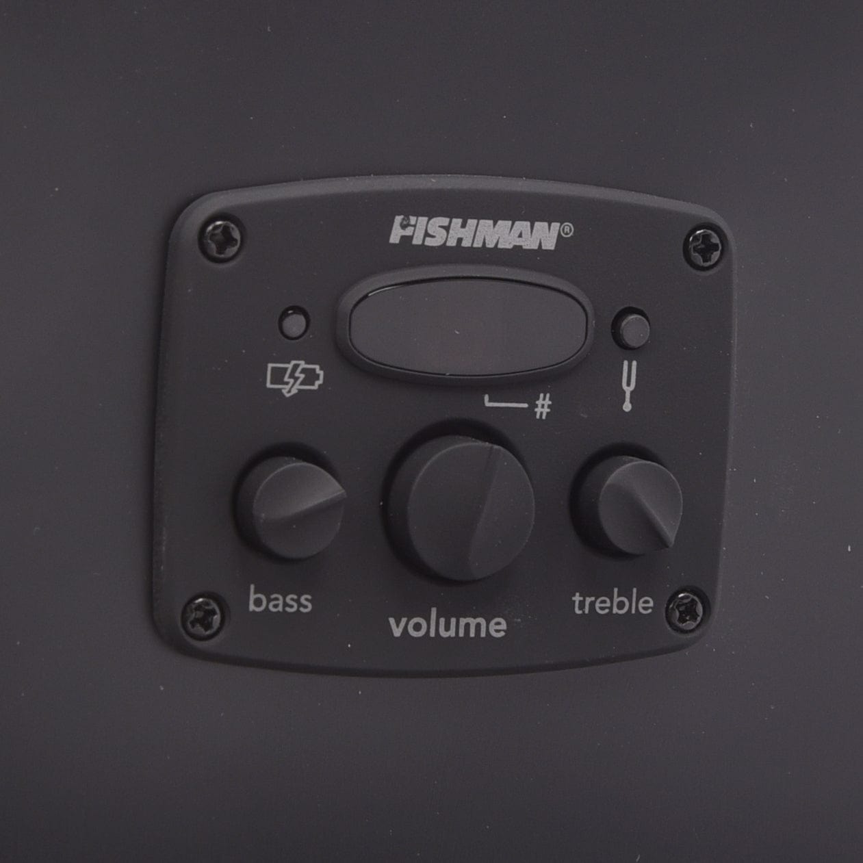 Fender Tim Armstrong Hellcat Checkerboard Acoustic Guitars / Concert