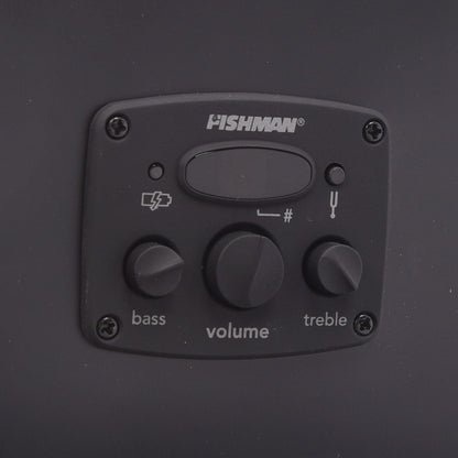 Fender Tim Armstrong Hellcat Checkerboard Acoustic Guitars / Concert