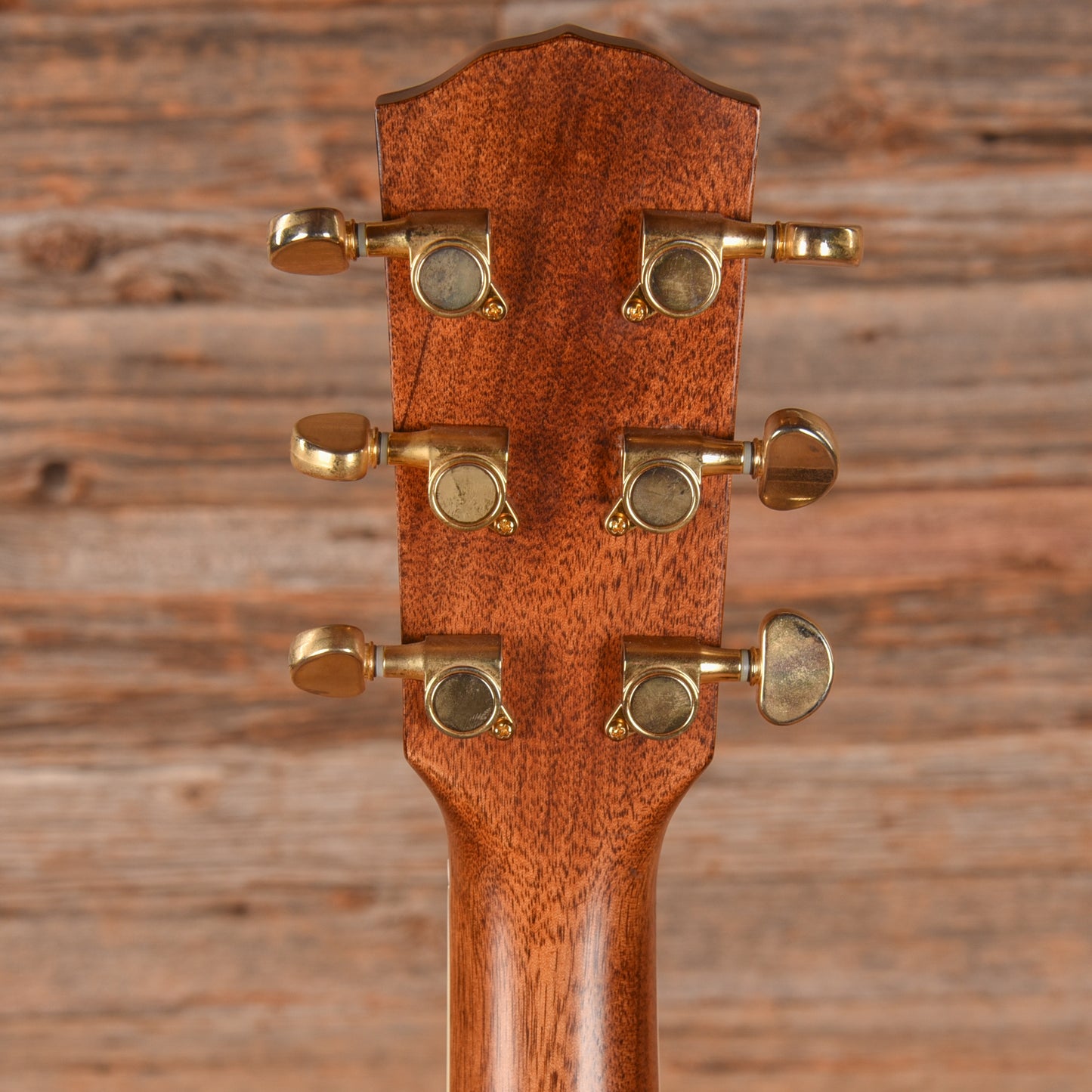Fender DG200SCE Natural Acoustic Guitars / Dreadnought