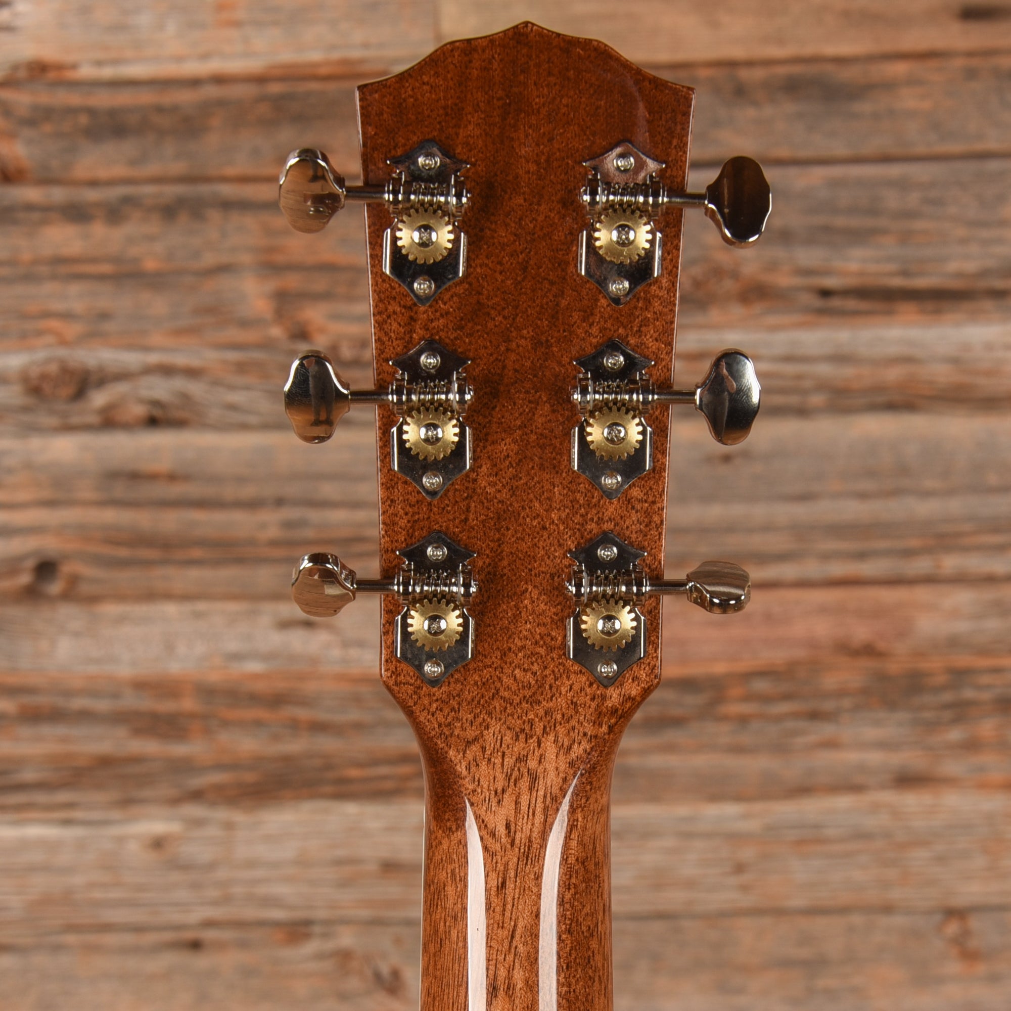 Fender Paramount PM-1E Standard Natural Acoustic Guitars / Dreadnought