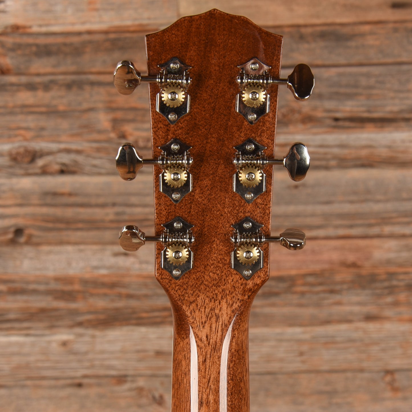 Fender Paramount PM-1E Standard Natural Acoustic Guitars / Dreadnought
