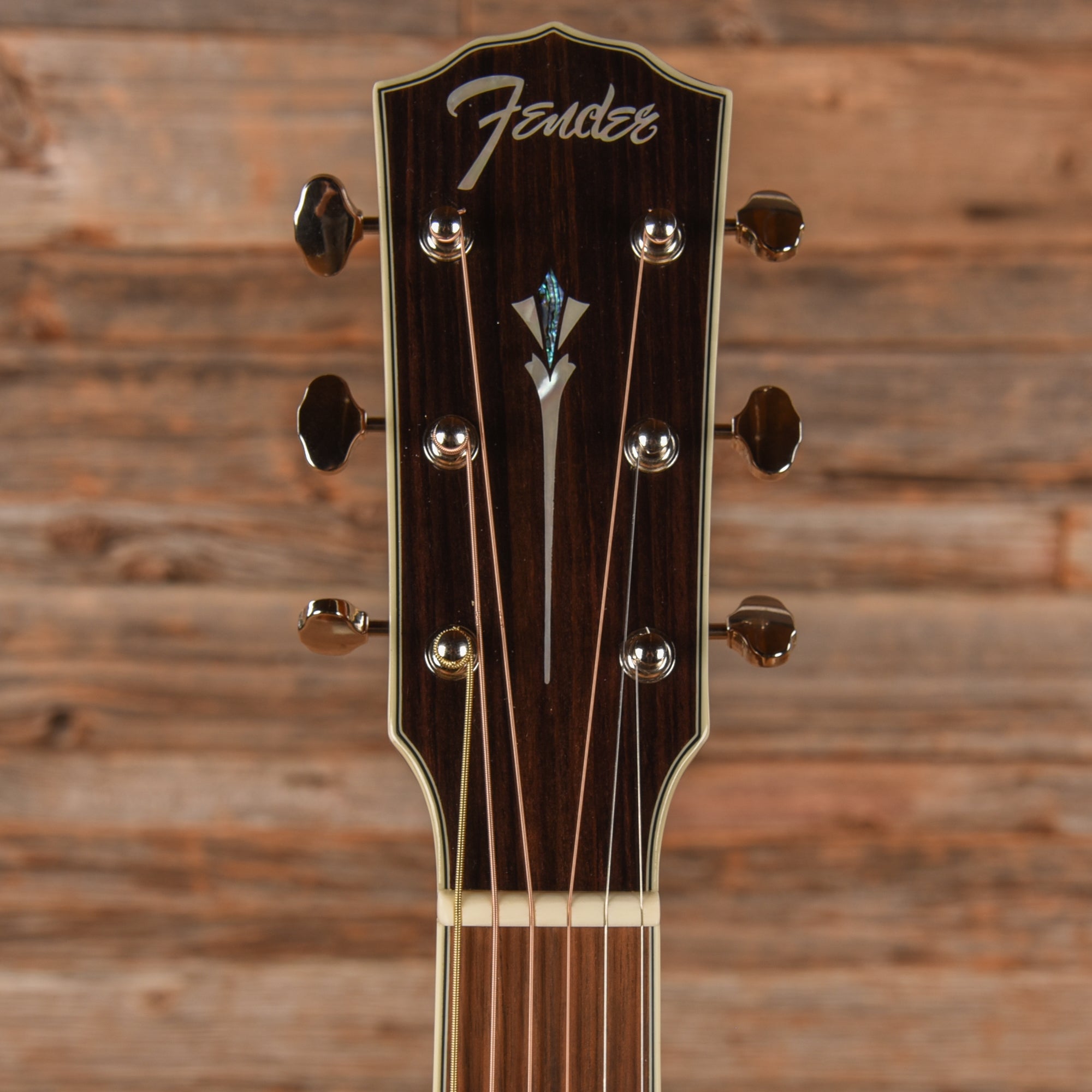 Fender Paramount PM-1E Standard Natural Acoustic Guitars / Dreadnought