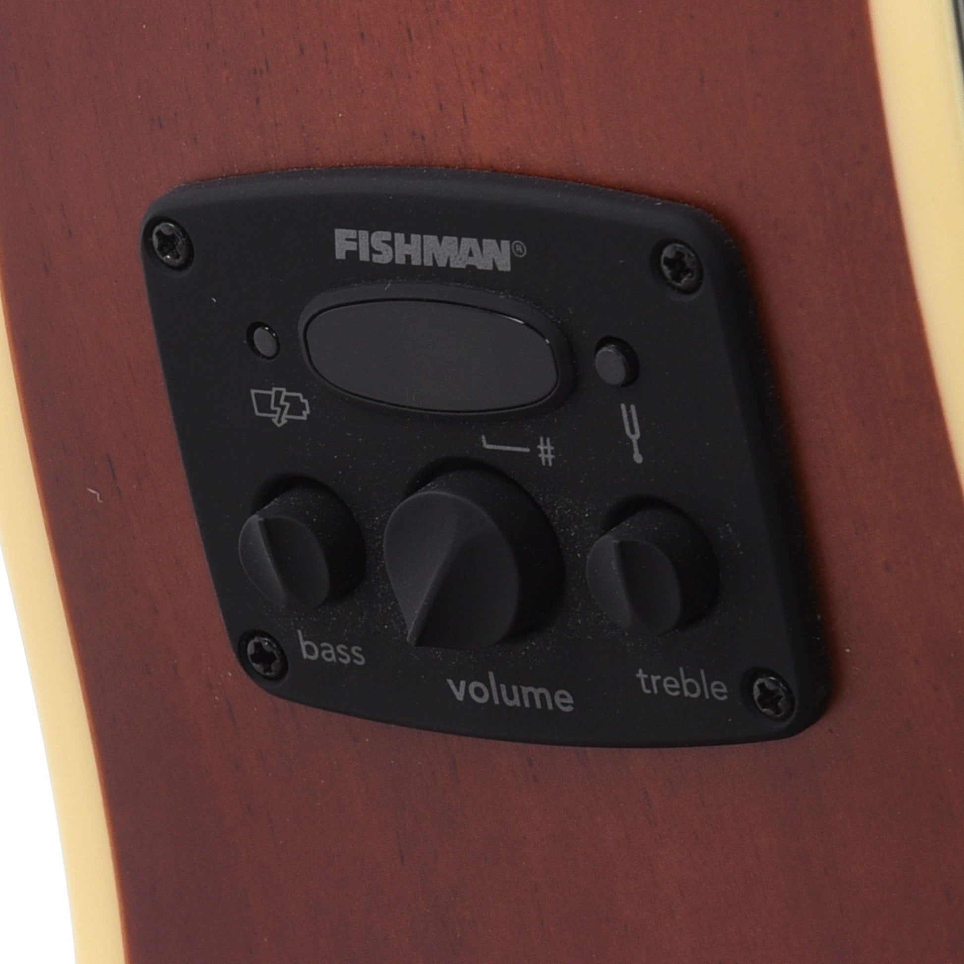 Fender Tim Armstrong Hellcat Natural Acoustic Guitars / OM and Auditorium