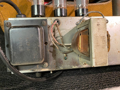 Fender Harvard Tweed 1961 Amplifiers
