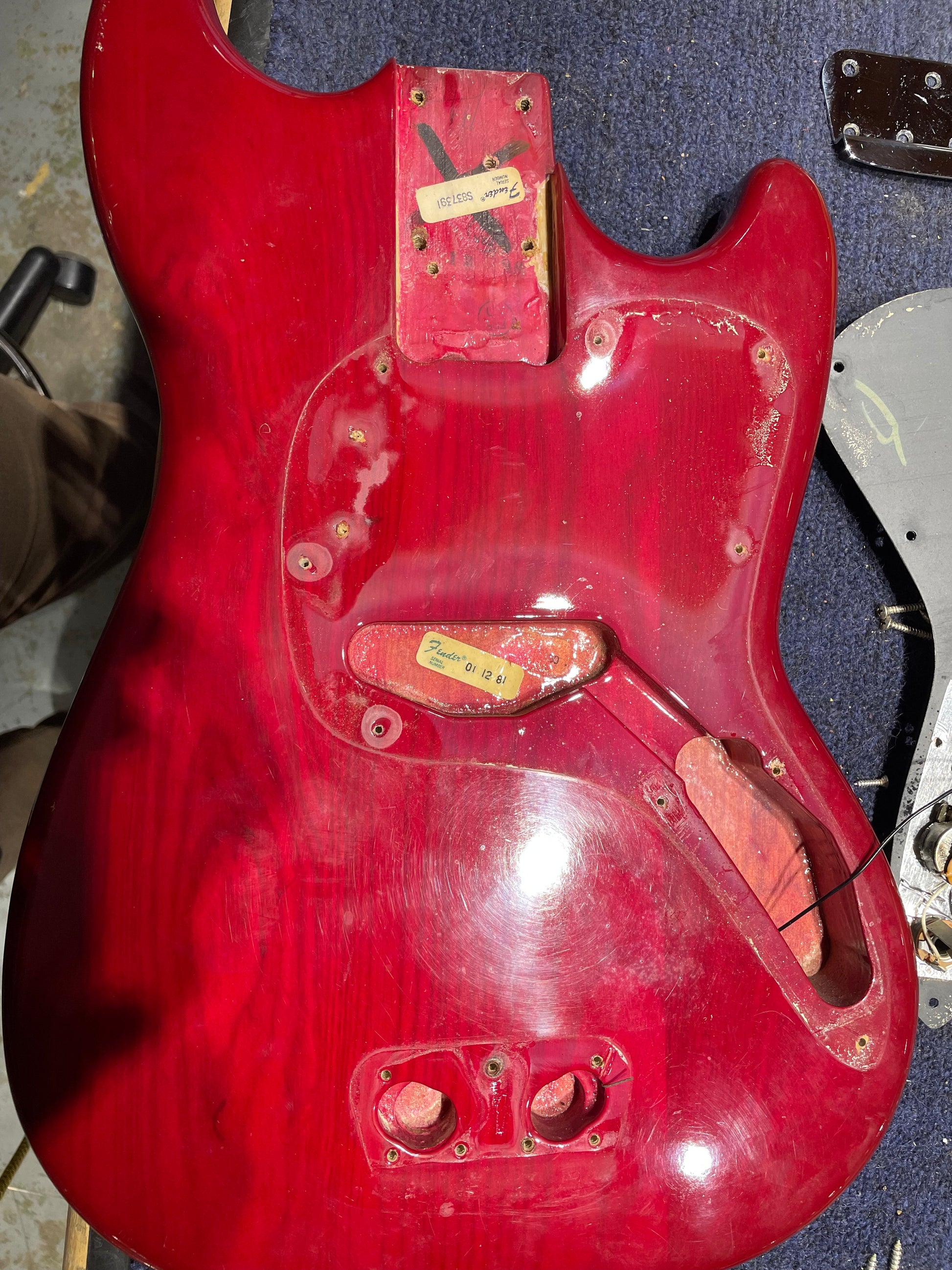 Fender Musicmaster Bass Translucent Red 1981 Bass Guitars / 4-String