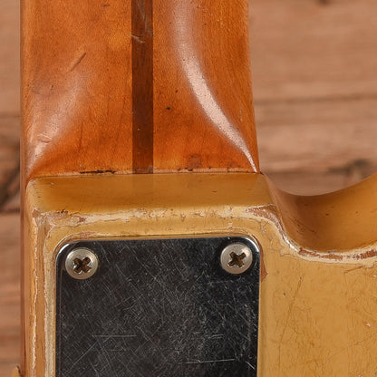 Fender Precision Bass Butterscotch Blonde 1954 Bass Guitars / 4-String