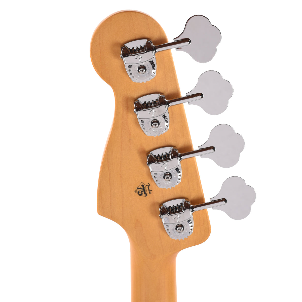 Fender American Professional Precision Bass RW Dark Night Bass Guitars
