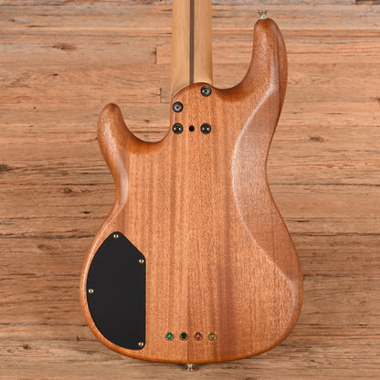 Fender Precision Bass Lyte Deluxe Bass Guitars