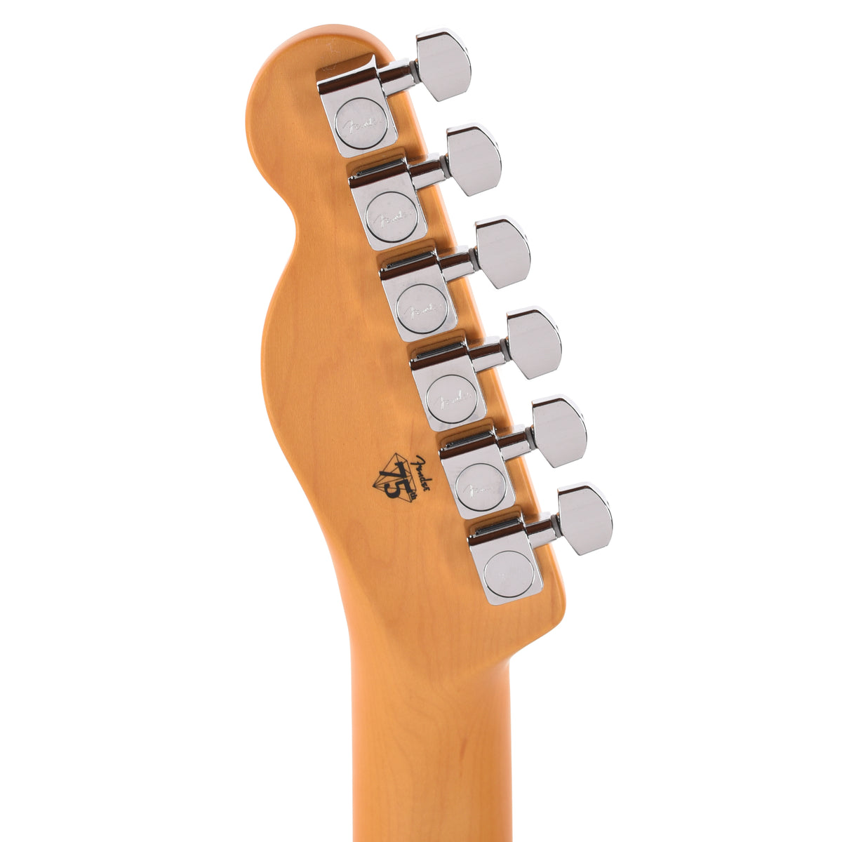 Fender American Professional Telecaster Black Electric Guitars