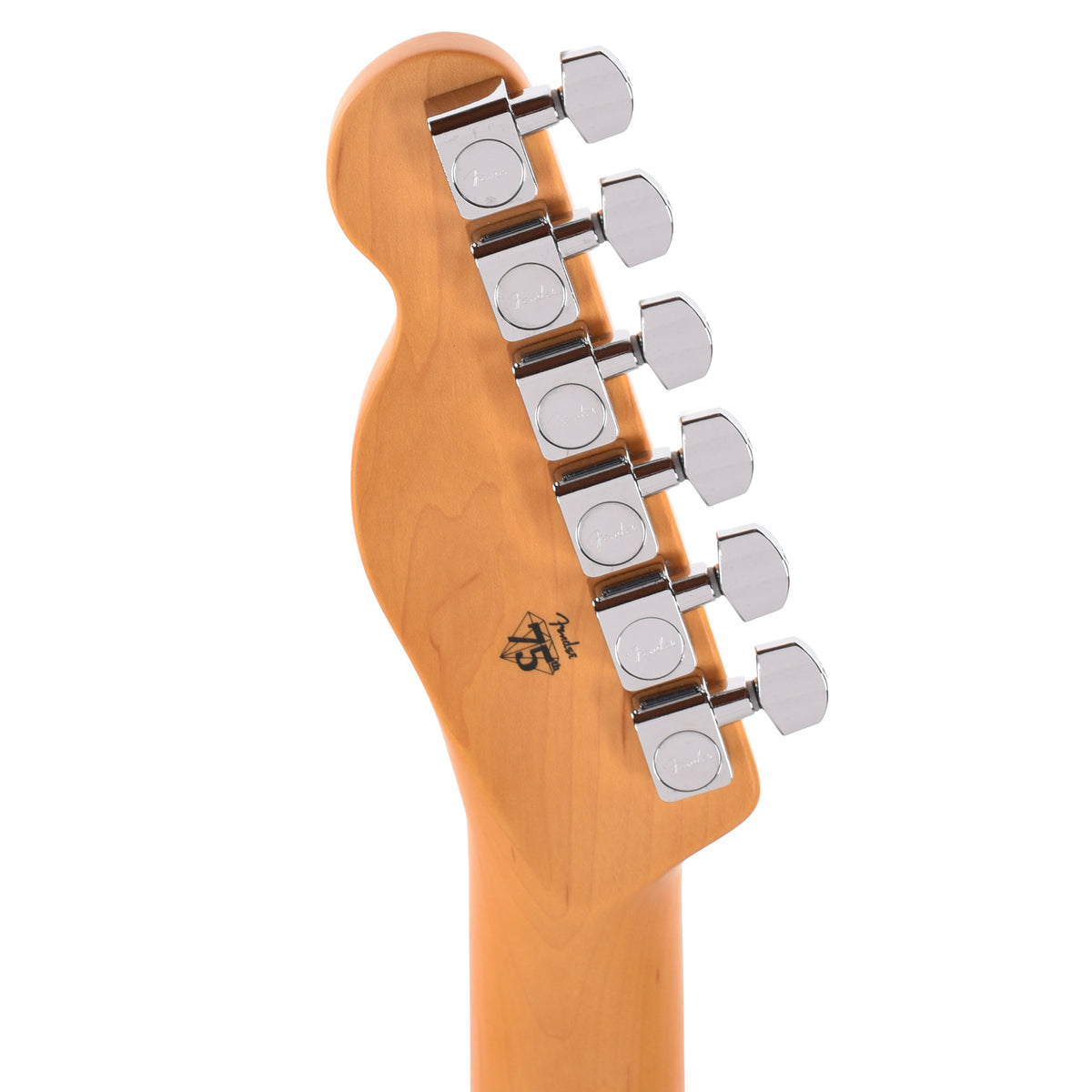 Fender American Professional Telecaster Dark Night Electric Guitars