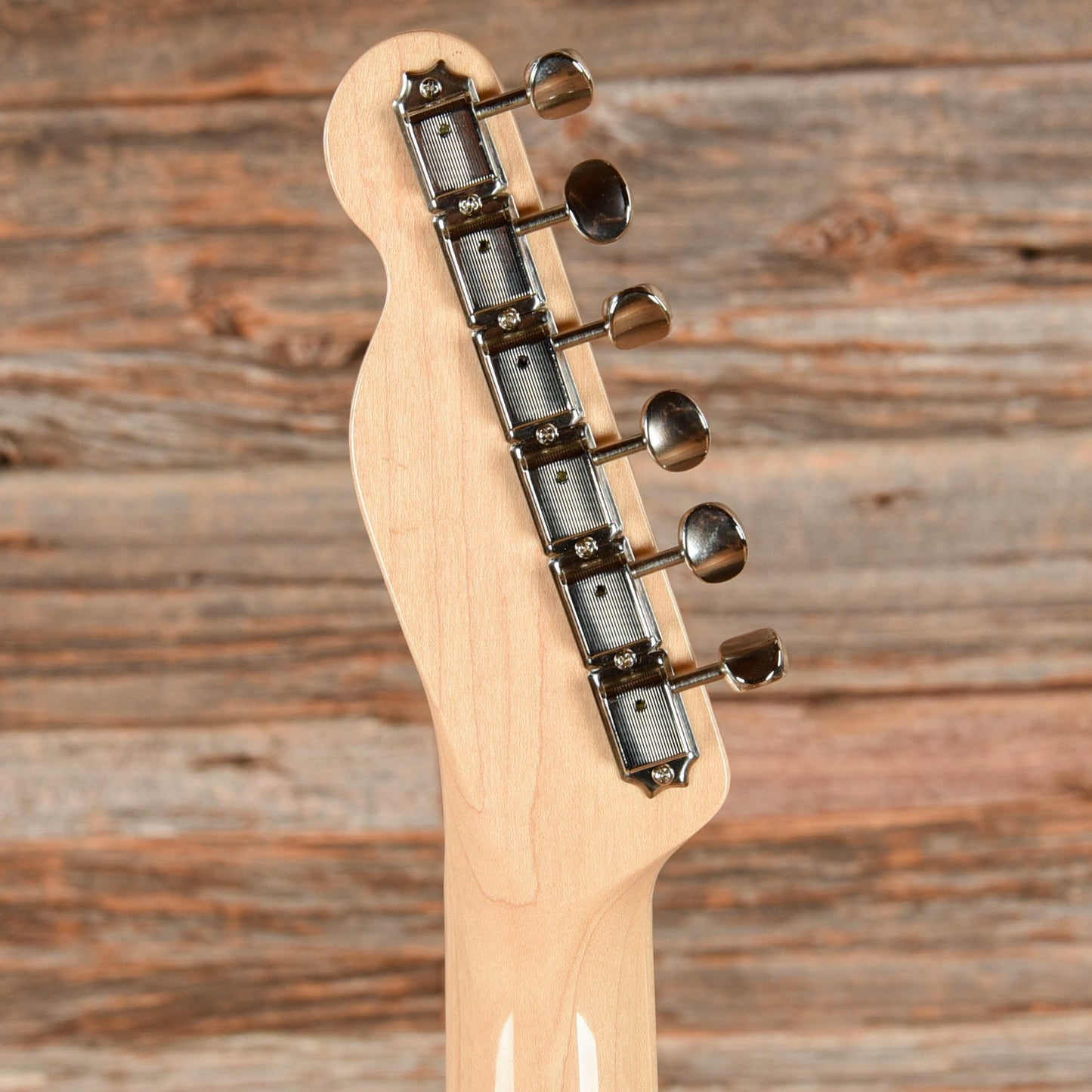 Fender Classic '69 Telecaster Blue Flower 2016 Electric Guitars