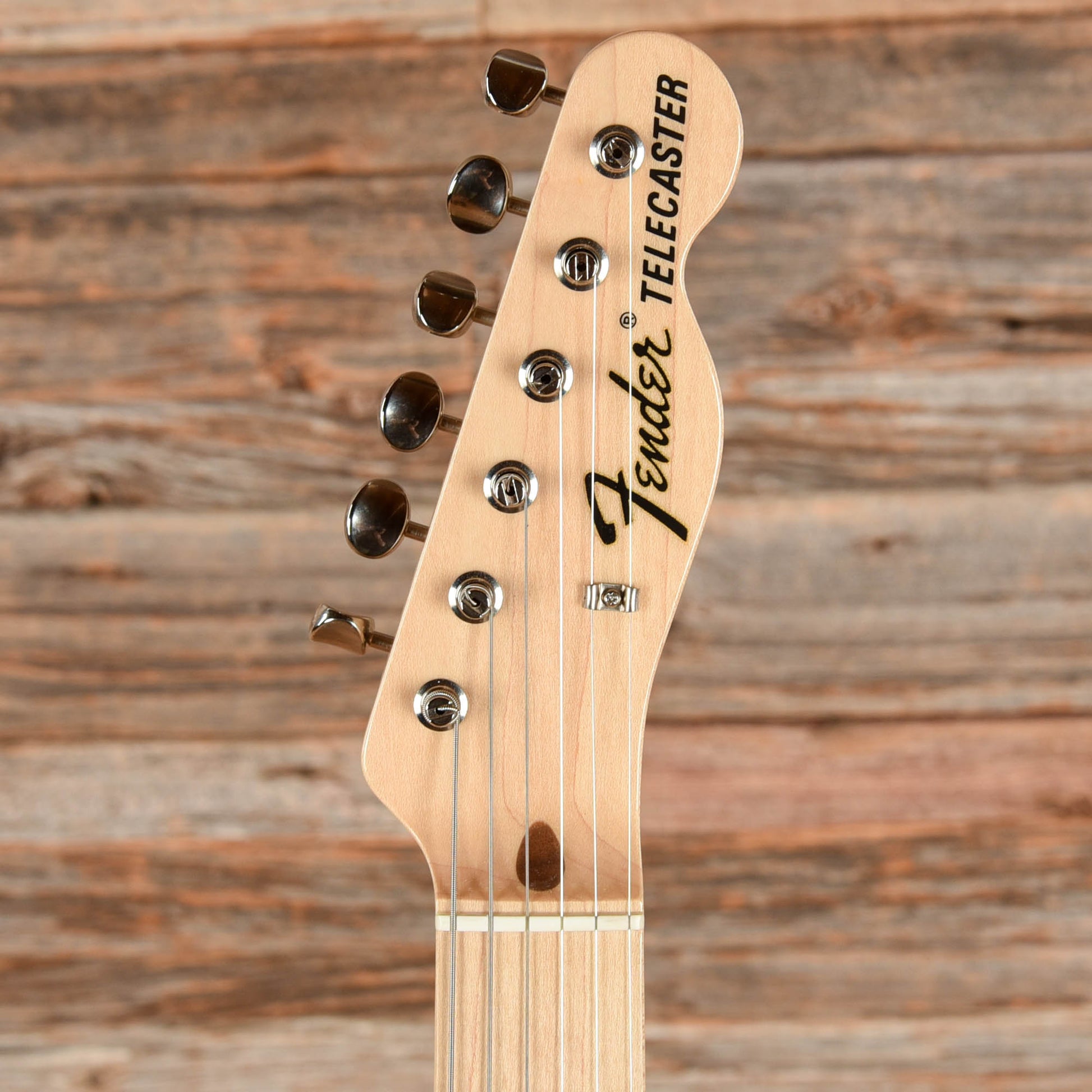 Fender Classic '69 Telecaster Blue Flower 2016 Electric Guitars