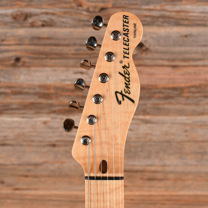 Fender Custom Shop '68 Telecaster Thinline Paisley 2025 Electric Guitars