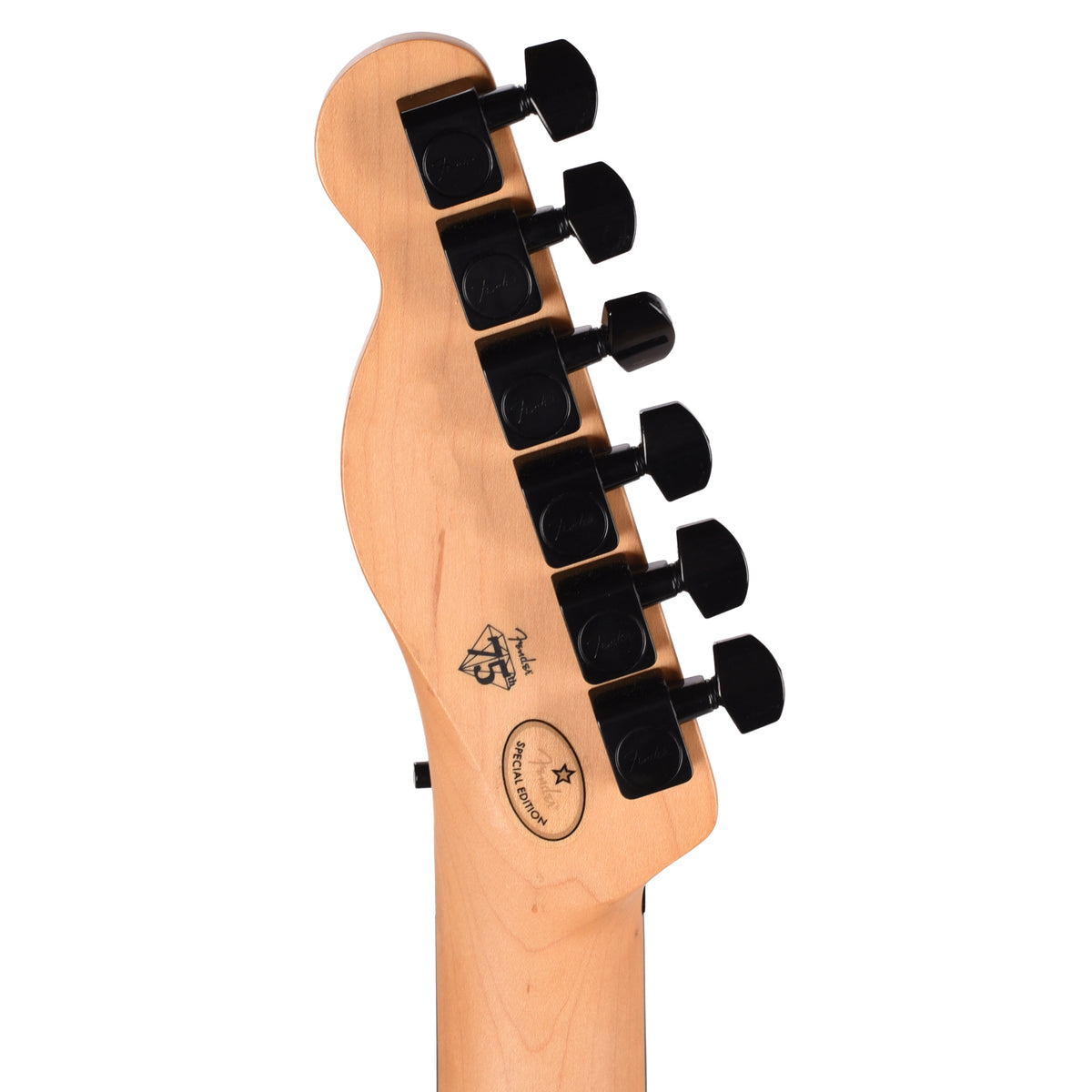 Fender Limited Edition Player Fusion Telecaster HH Floyd Rose Black Electric Guitars