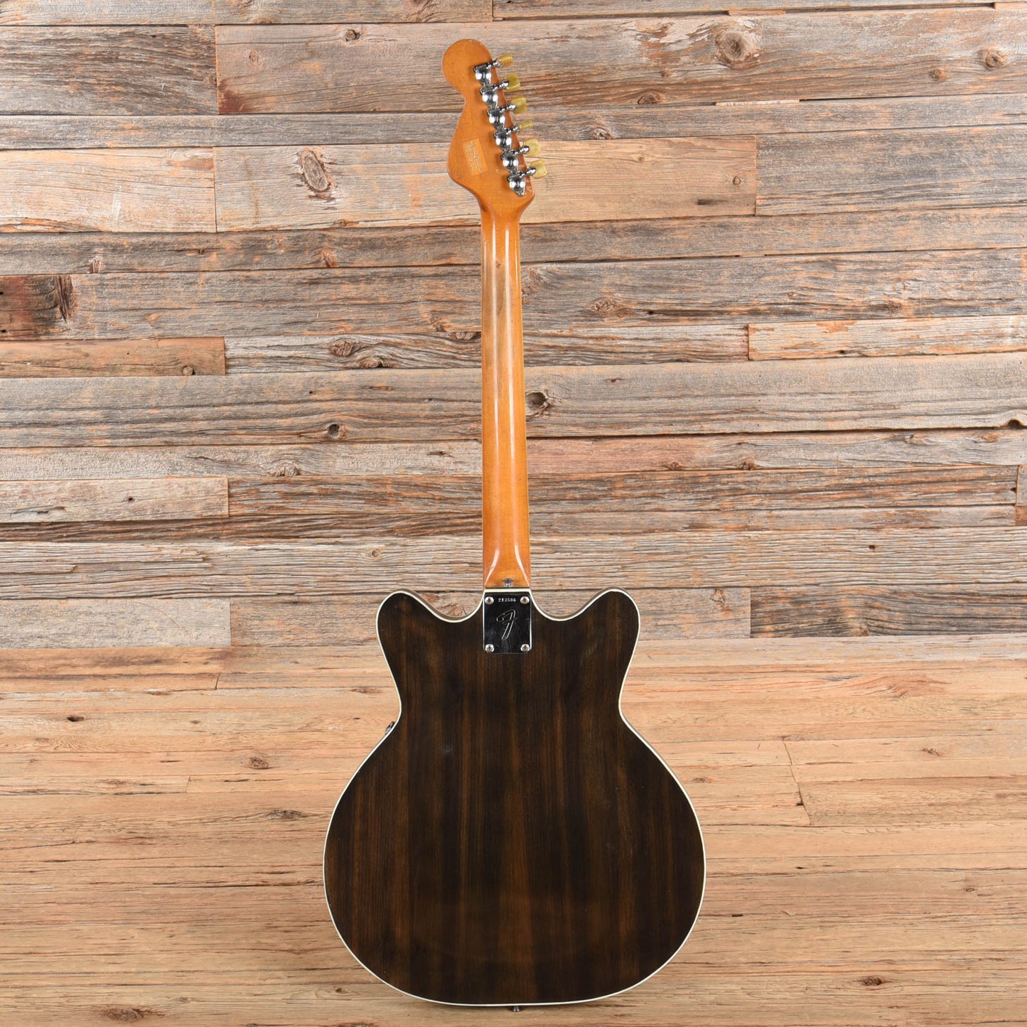 Fender Coronado II Wildwood/Antigua 1967 Electric Guitars / Hollow Body