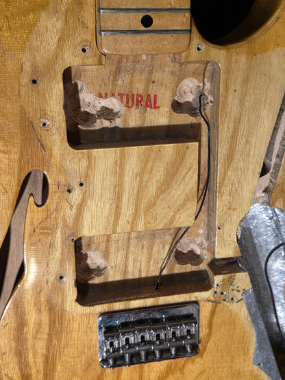 Fender Telecaster Thinline Natural 1974 Electric Guitars / Semi-Hollow