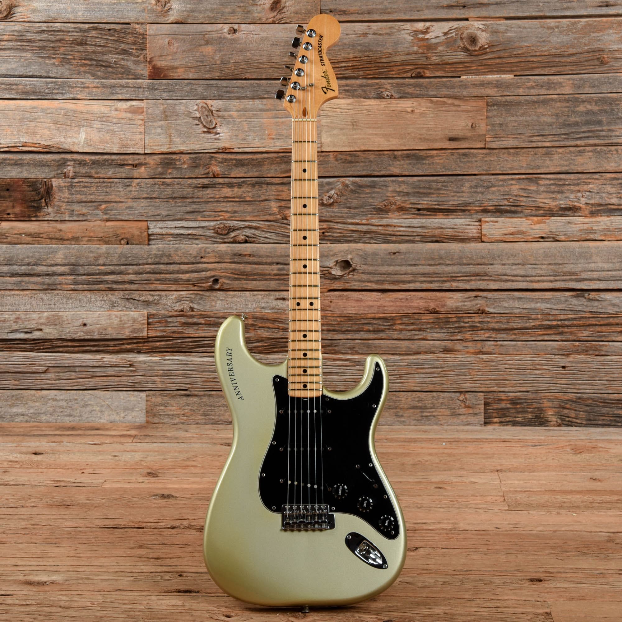 Fender 25th Anniversary Stratocaster Inca Silver 1979 Electric Guitars / Solid Body