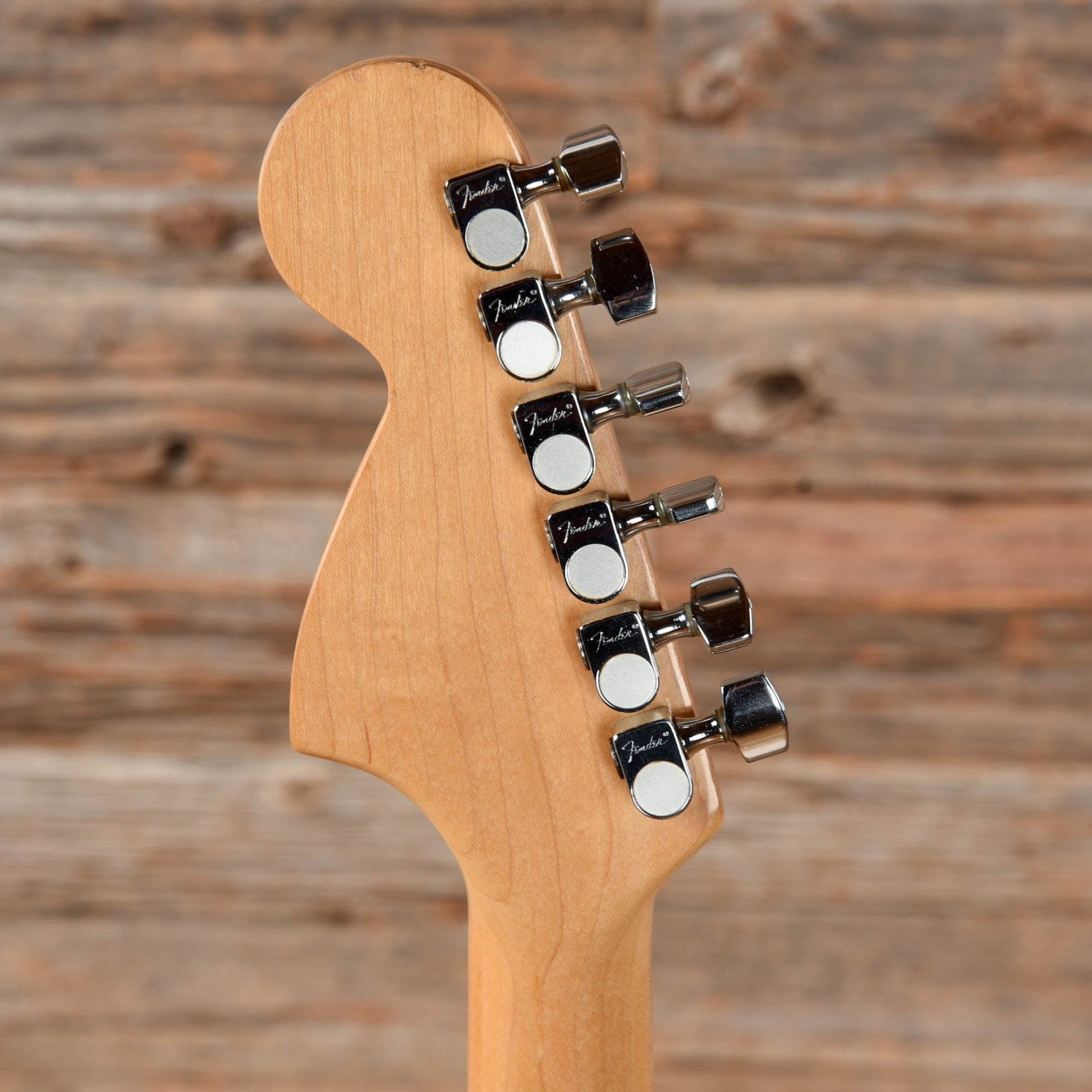 Fender 25th Anniversary Stratocaster Inca Silver 1979 Electric Guitars / Solid Body