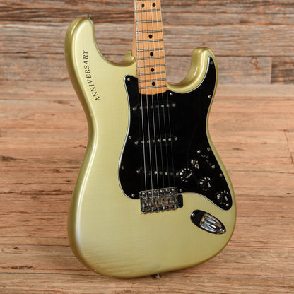 Fender 25th Anniversary Stratocaster Silver Metallic 1980 Electric Guitars / Solid Body