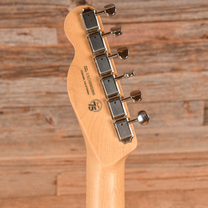 Fender American Performer Telecaster Hum Vintage White 2021 Electric Guitars / Solid Body