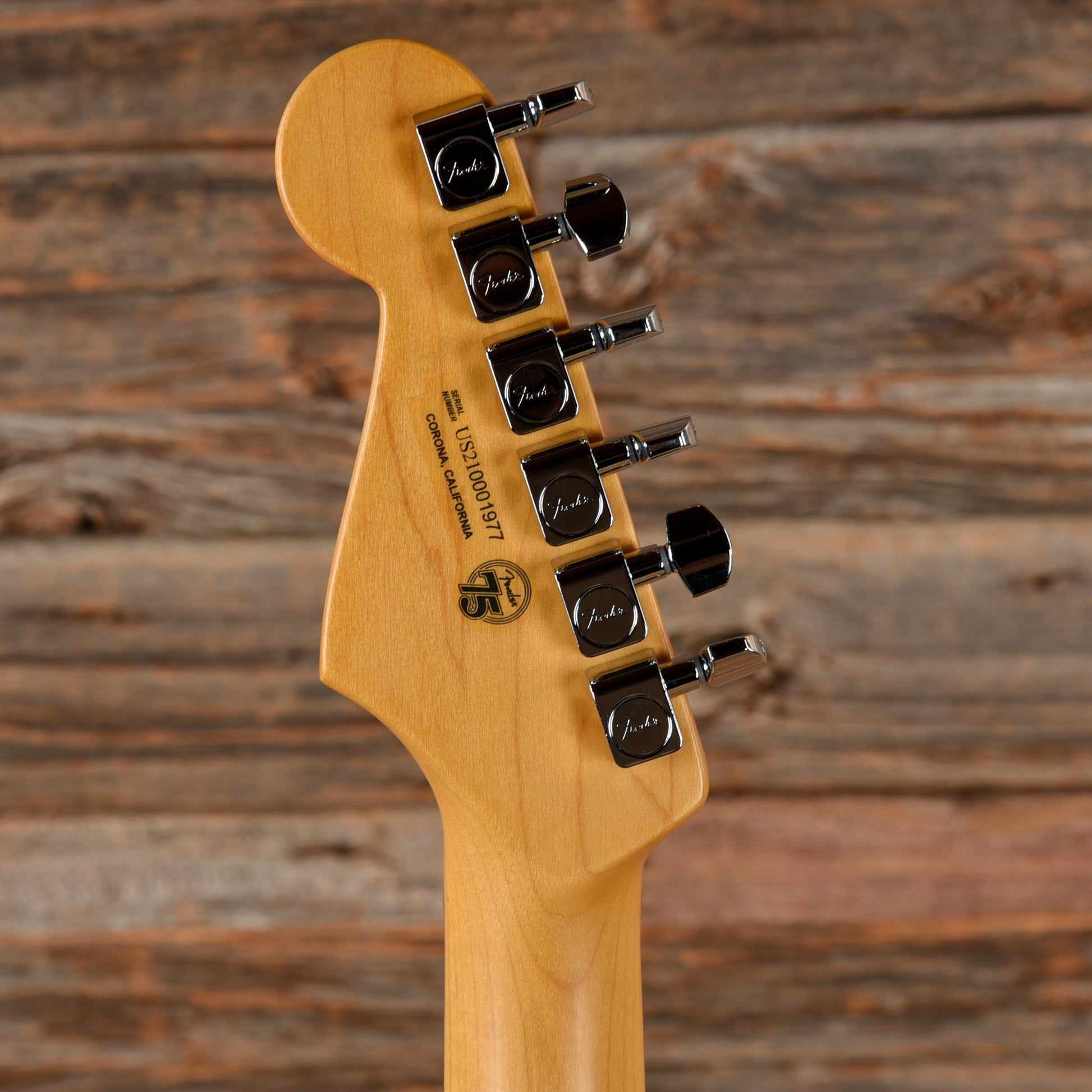 Fender American Professional II Stratocaster Dark Night 2021 Electric Guitars / Solid Body
