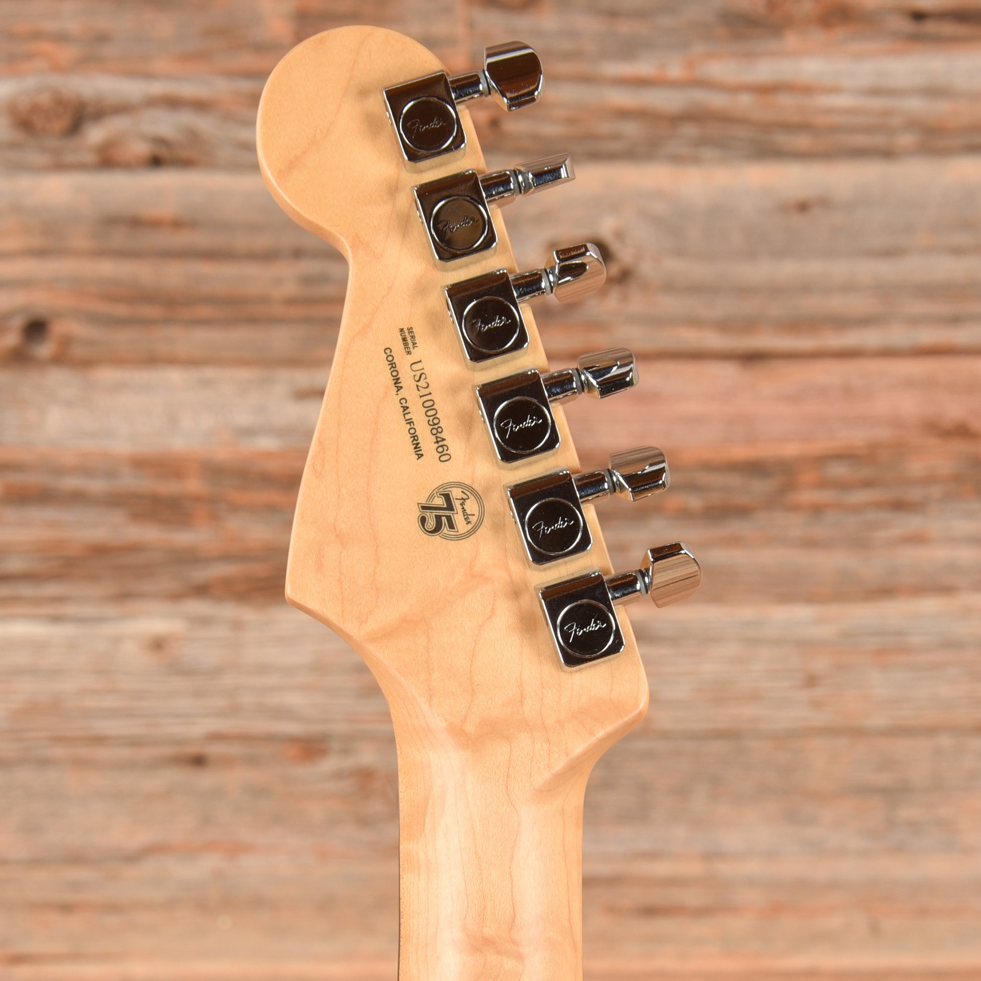 Fender American Professional II Stratocaster Dark Night 2021 Electric Guitars / Solid Body