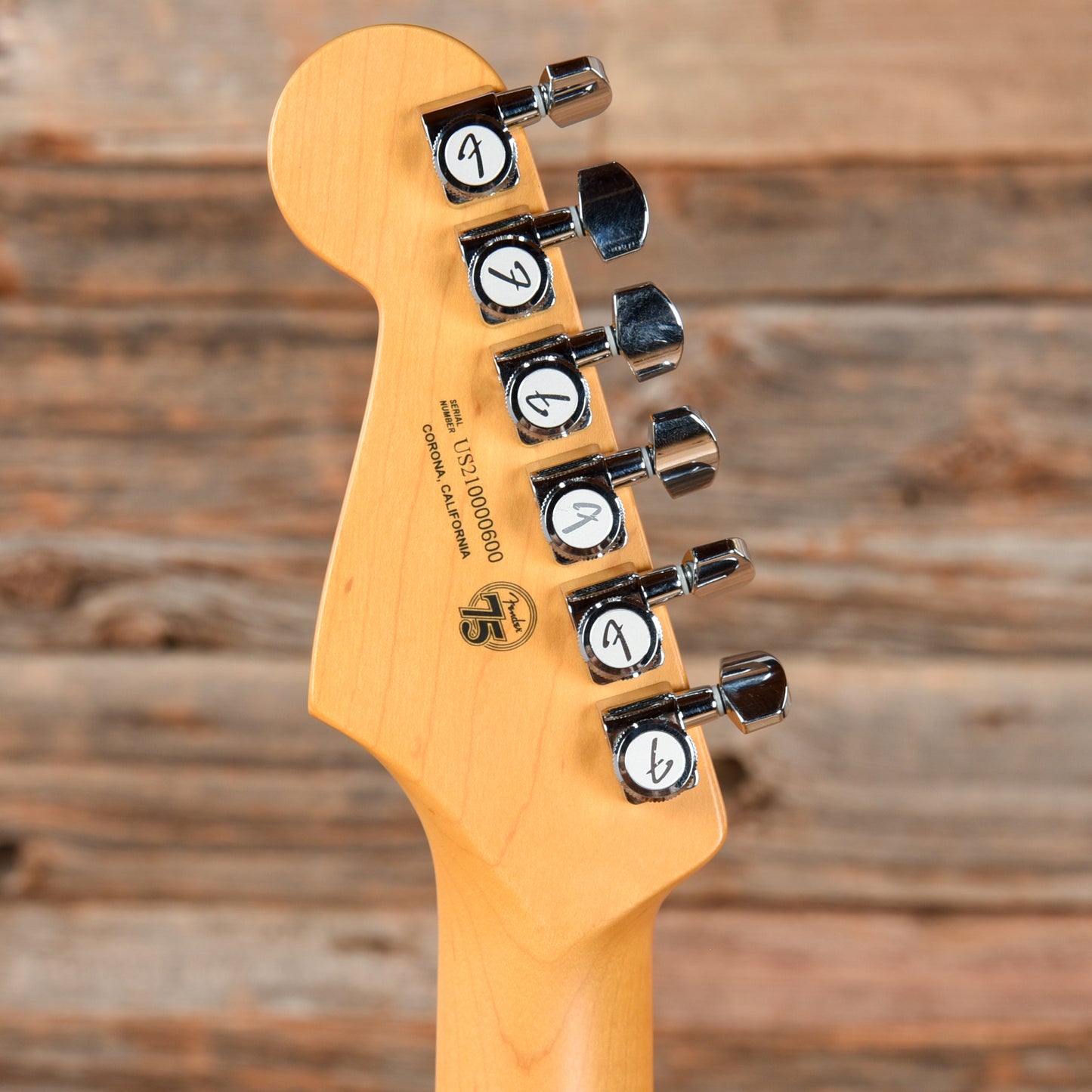 Fender American Professional II Stratocaster HSS Roasted Pine 2021 Electric Guitars / Solid Body
