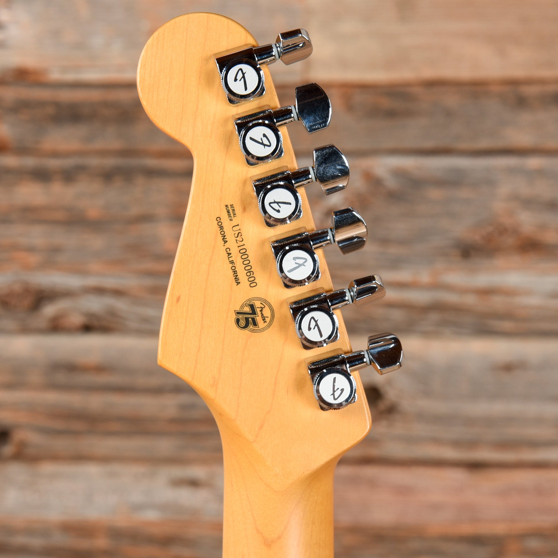 Fender American Professional II Stratocaster HSS Roasted Pine 2021 Electric Guitars / Solid Body