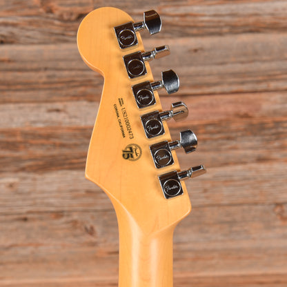 Fender American Professional II Stratocaster Roasted Pine Stripped Natural 2021 Electric Guitars / Solid Body