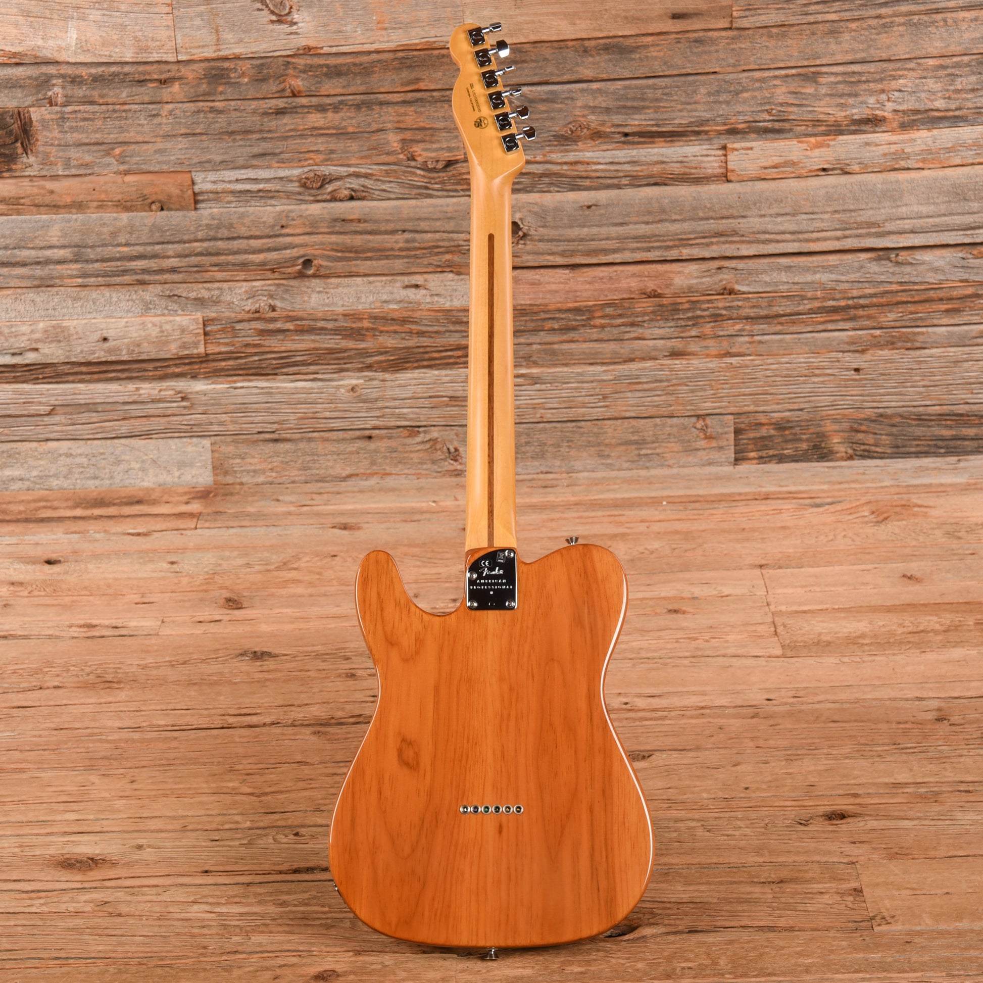 Fender American Professional II Telecaster Roasted Pine Natural 2021 Electric Guitars / Solid Body