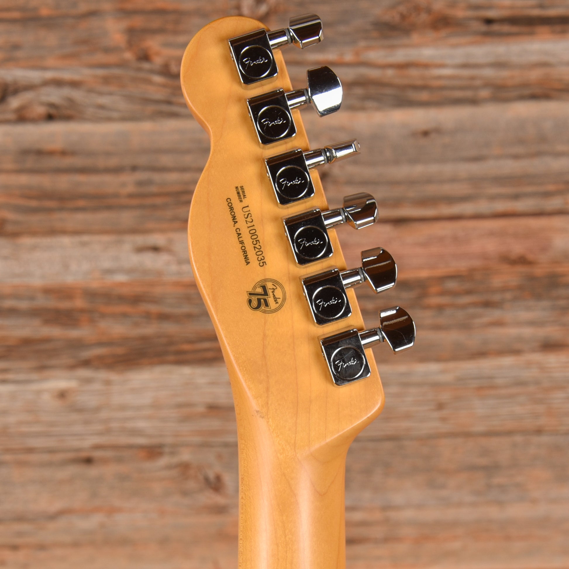 Fender American Professional II Telecaster Roasted Pine Natural 2021 Electric Guitars / Solid Body