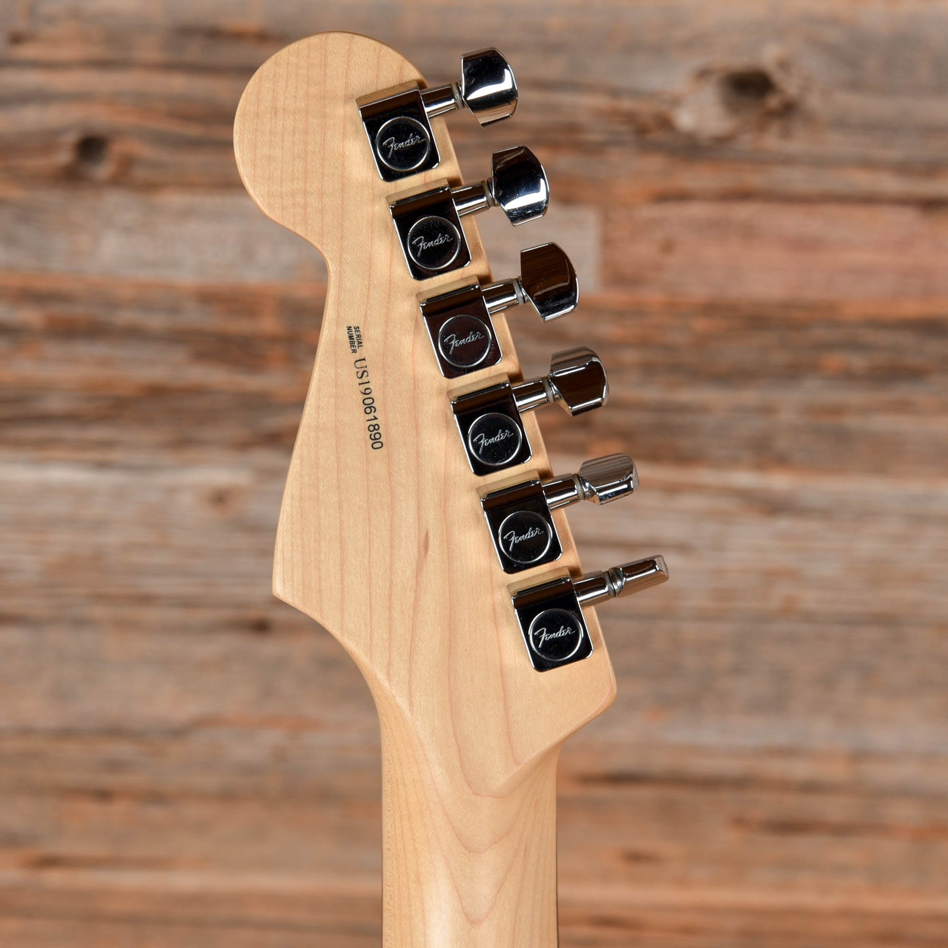 Fender American Professional Stratocaster Black Paisley 2019 Electric Guitars / Solid Body