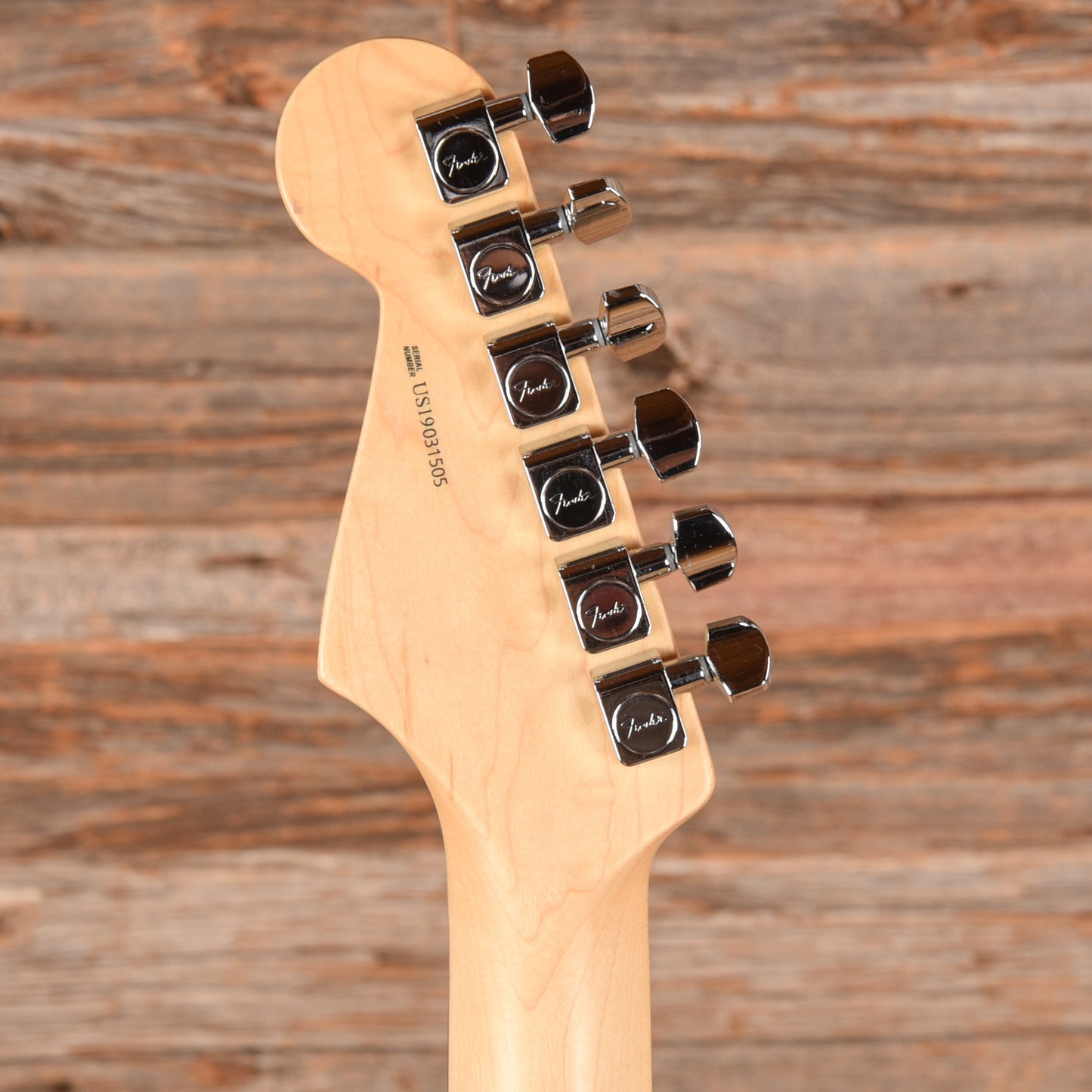Fender American Professional Stratocaster Neck with Fender Body Black Paisley Electric Guitars / Solid Body