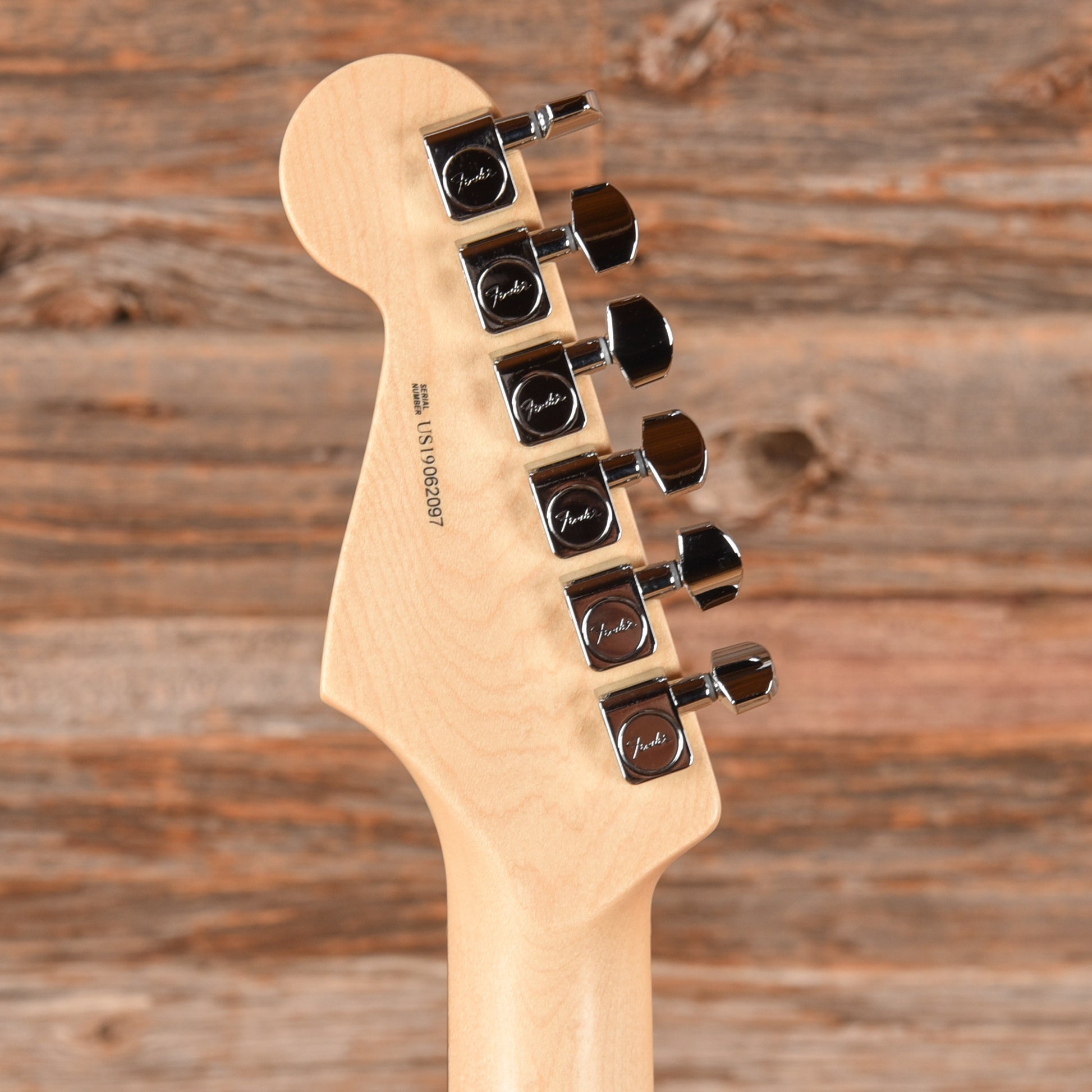 Fender American Professional Stratocaster Neck with Unknown Fender Body Pewter Electric Guitars / Solid Body