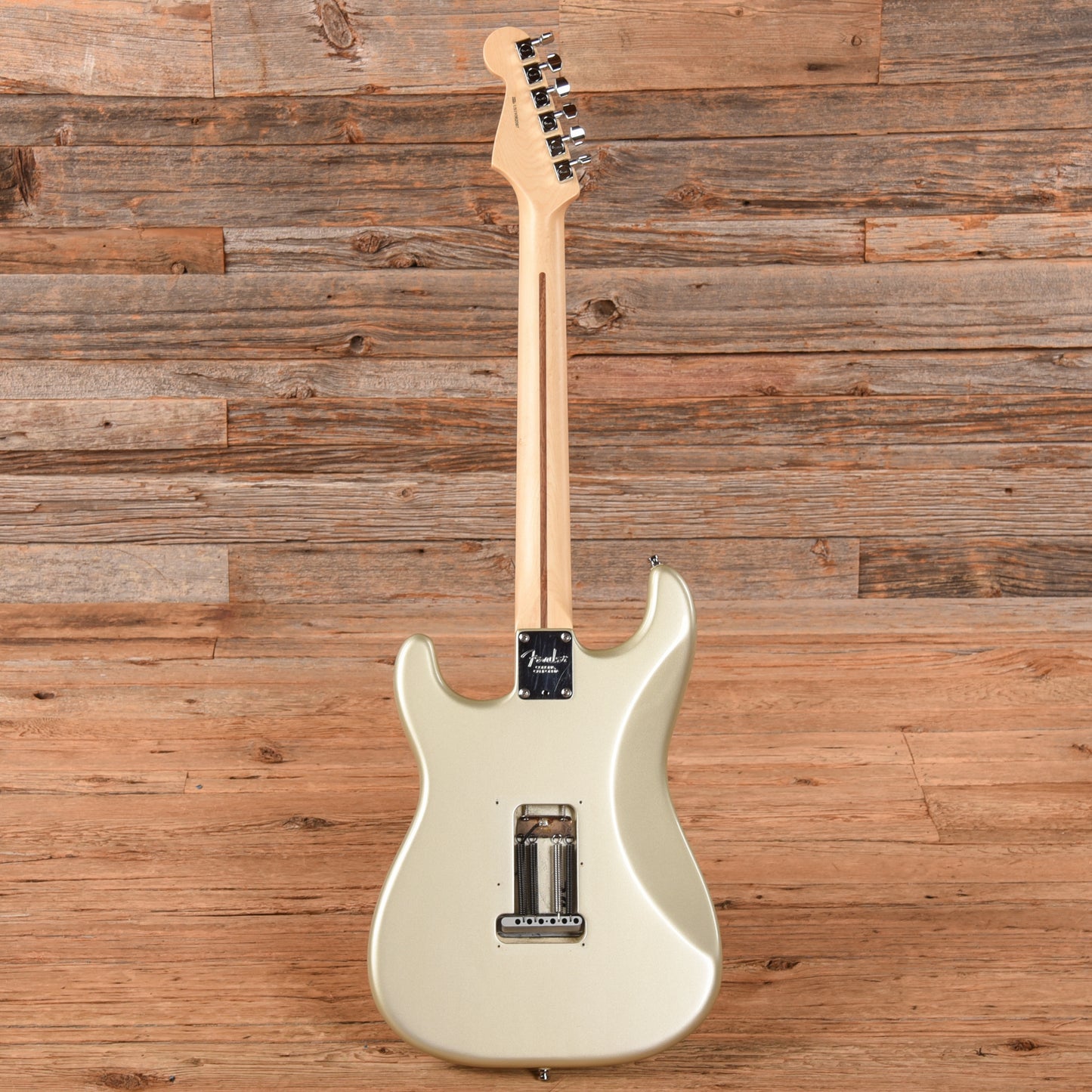 Fender American Professional Stratocaster Neck with Unknown Fender Body Pewter Electric Guitars / Solid Body