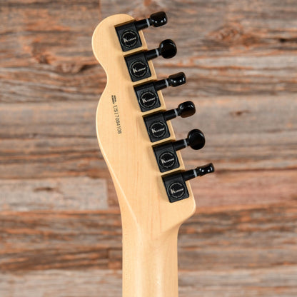 Fender American Professional Telecaster Neck with American Professional Telecaster Deluxe Body Black Electric Guitars / Solid Body
