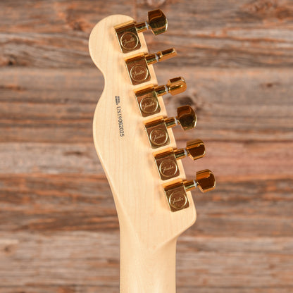 Fender American Professional Telecaster Neck with Unknown Fender Body Black Refin Electric Guitars / Solid Body
