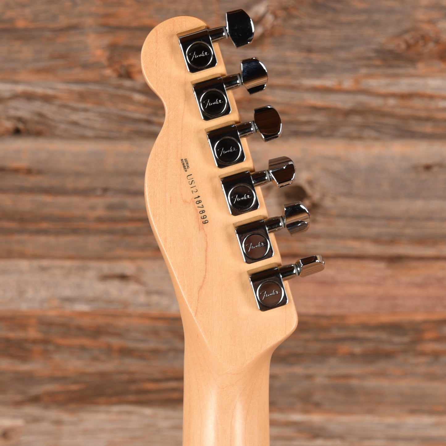 Fender American Standard Telecaster Neck with Allparts Body Black Paisley Electric Guitars / Solid Body