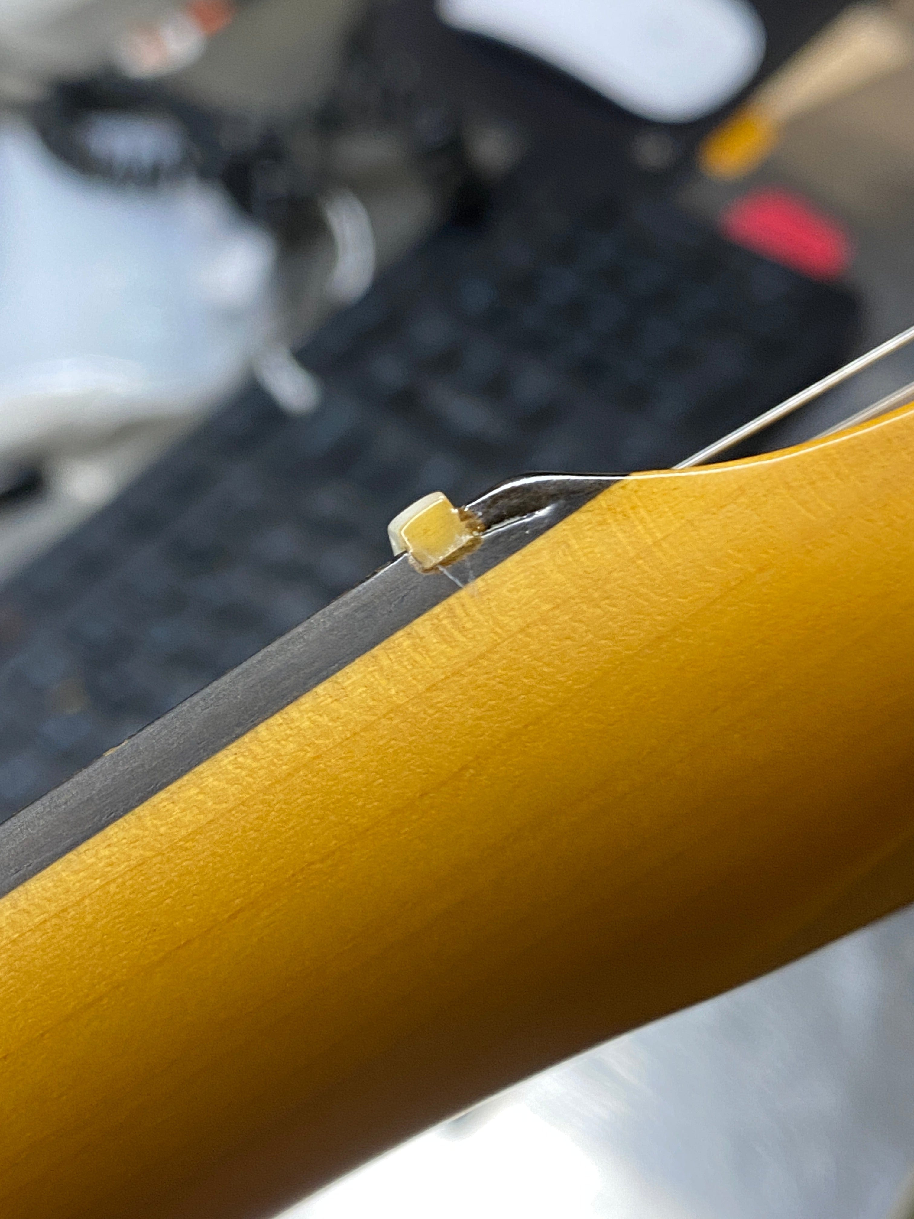 Fender American Ultra Stratocaster Mystic Pine & Anodized Gold Pickguard Electric Guitars / Solid Body