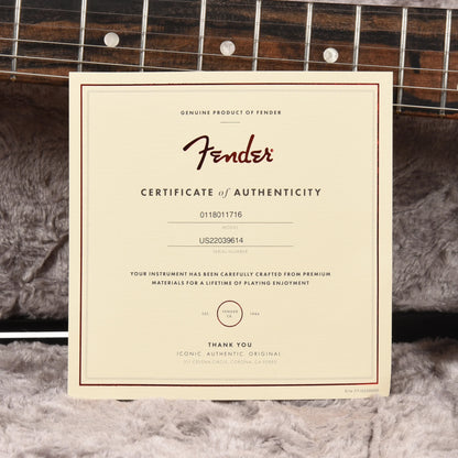 Fender American Ultra Stratocaster Mystic Pine & Anodized Gold Pickguard Electric Guitars / Solid Body