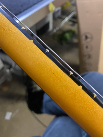 Fender American Ultra Stratocaster Quicksilver w/Ebony Fingerboard & Anodized Gold Pickguard Electric Guitars / Solid Body