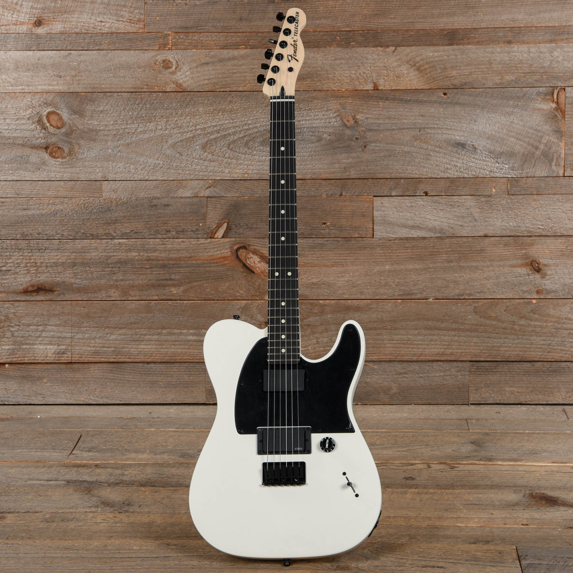 Fender Artist Jim Root Telecaster Flat White Electric Guitars / Solid Body