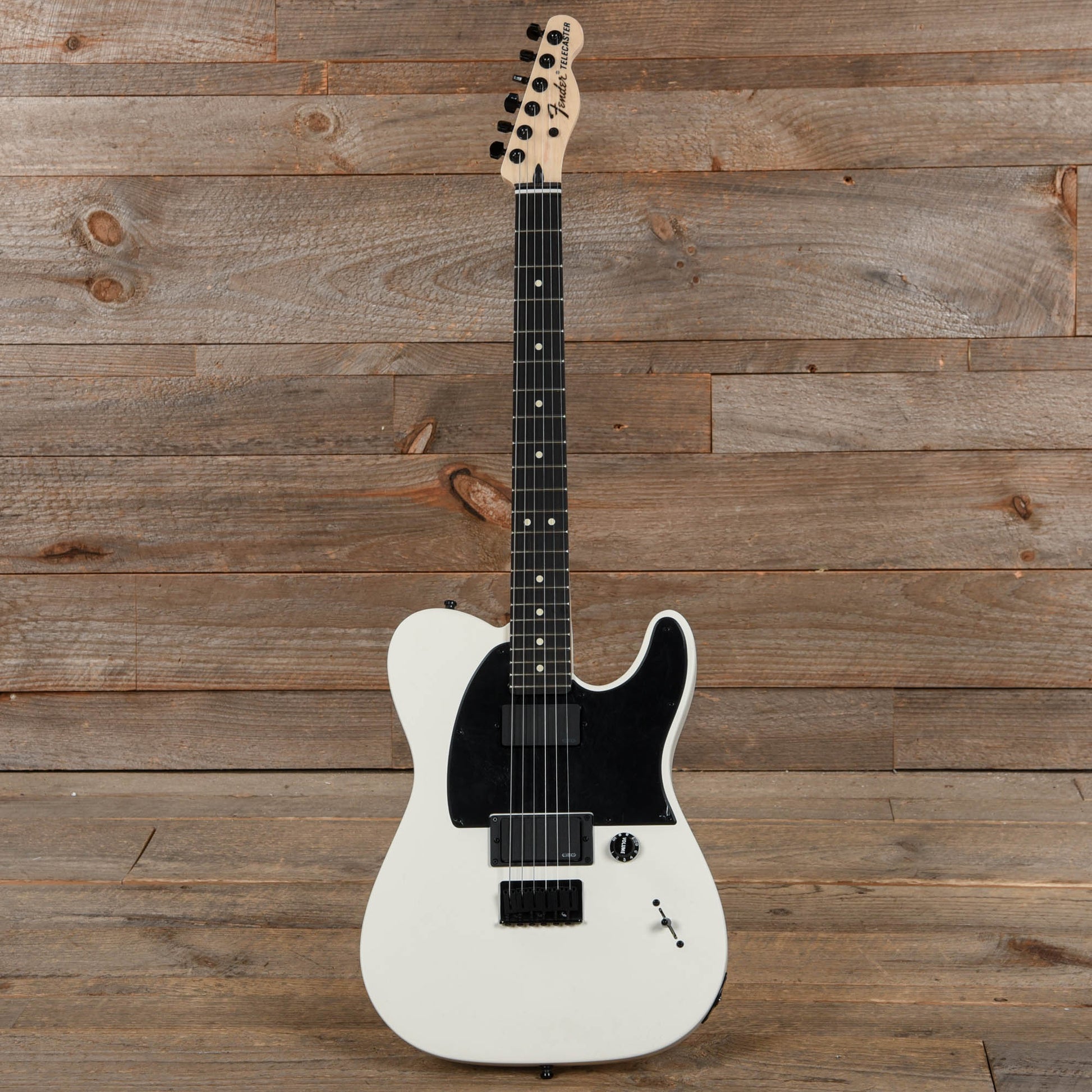 Fender Artist Jim Root Telecaster Flat White Electric Guitars / Solid Body
