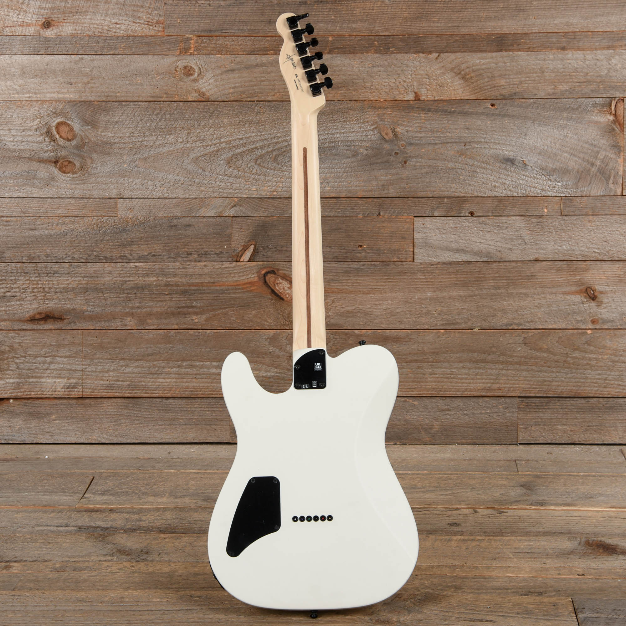 Fender Artist Jim Root Telecaster Flat White Electric Guitars / Solid Body