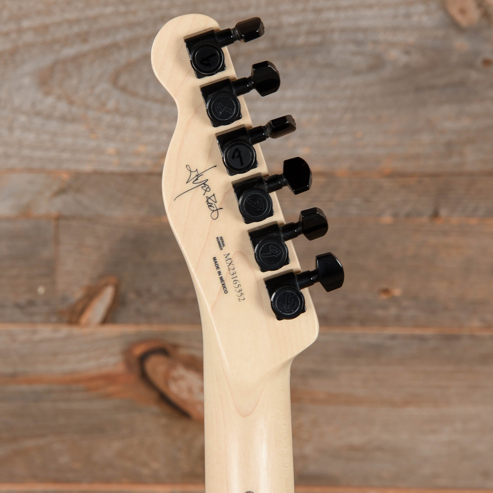 Fender Artist Jim Root Telecaster Flat White Electric Guitars / Solid Body