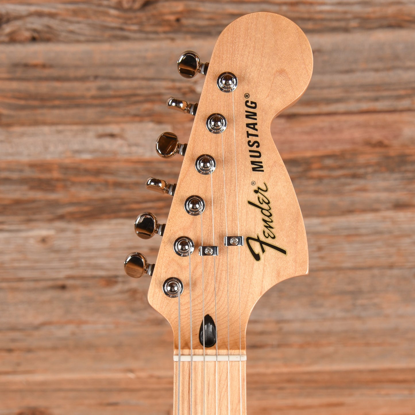 Fender Ben Gibbard Signature Mustang Natural 2021 Electric Guitars / Solid Body