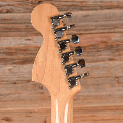 Fender Blue Flower Stratocaster Blue Flower Electric Guitars / Solid Body